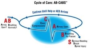 AB-CABS